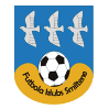 https://img.fwbgo.com/img/football/team/259a1106a33b56d2bb3c458a62ffa2ea.png