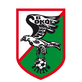 https://img.fwbgo.com/img/football/team/e6a8908dd206e2ea02d9803c82c60bba.png